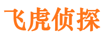 桃城捉小三公司